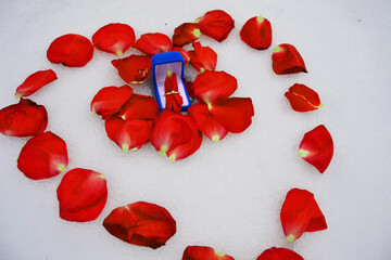 Heart of red rose petals with a gold ring on a white background