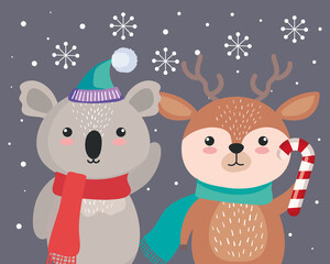 koala and reindeer cartoons in merry christmas season design, winter and decoration theme Vector illustration