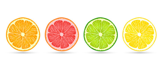 Citrus fruit slices of orange, grapefruit, lime and lemon isolated on a flat white background with shadows underneath, vector illustration