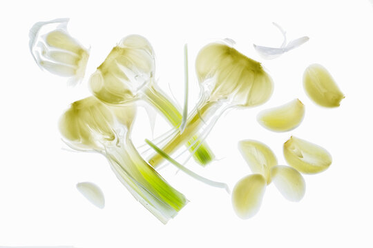 Fresh Garlic