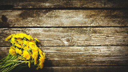 Bouquet of yellow dandelions on an old wooden table. Top view with copyspace. Dandelions close-up. Alternative medicine concept, herbal medicine concept