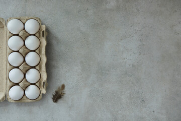 Eggs in an egg container and a feather on a gray background