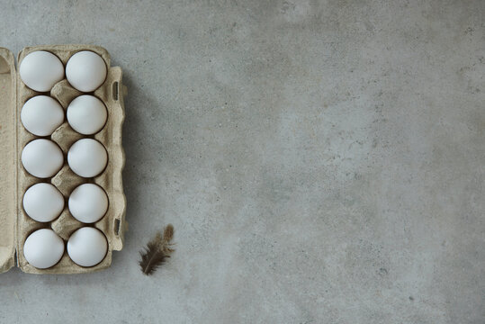Eggs in an egg container and a feather on a gray background