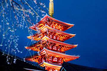 夜の浅草