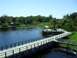 bridge over the river