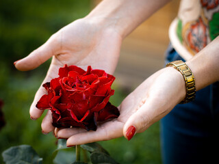 Young caucasian beautiful woman holding a rose flower in her hands. Skin care concept