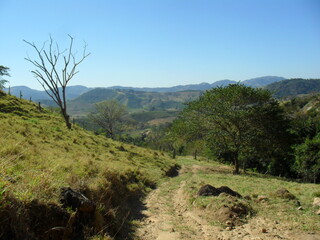 landscape with trees