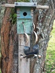 Old wooden birdhouse hang on cherry tree. Anybody put the model of sailing yacht f