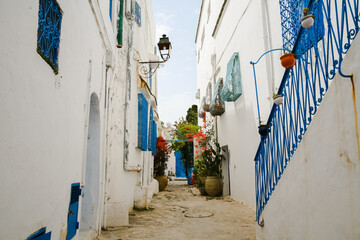 Fototapeta na wymiar a street in the old city of Tunis Sidi Bou said