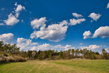Wald und Wiesen im Sommer bewölter Himmel