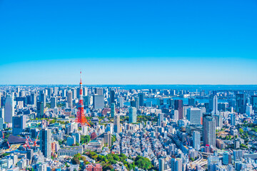 Fototapeta na wymiar 日本の首都・東京の摩天楼 ~ The landscape of Tokyo, one of the three largest cities in the world ~ 