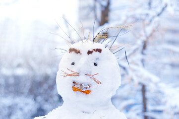 Portrait of snowman in the yard.