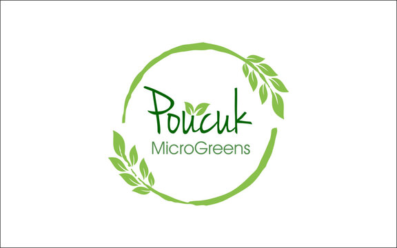 Illustration vector graphic of microgreen healthy inside logo design