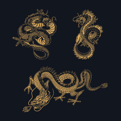Japanese dragon. Mythological animal or Asian traditional reptile. Symbol for tattoo or label. Engraved hand drawn line art Vintage old monochrome sketch, ink. Vector illustration.
