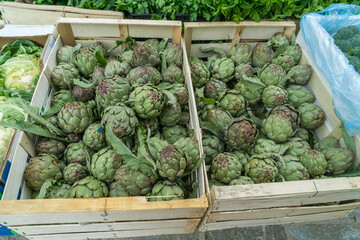 Artischocken auf dem Markt von Bastia