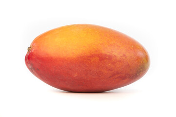 Mango sobre fondo blanco.