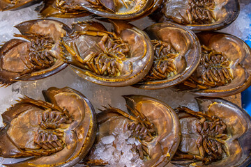 seafood from Naklua Thailand Asia