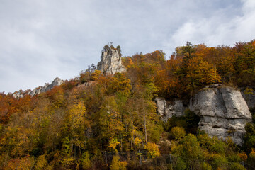 die Felsen im Wald
