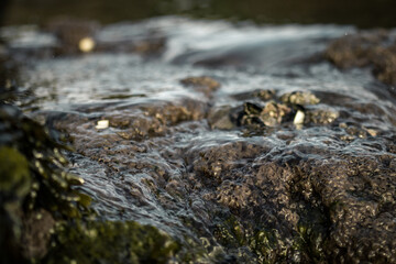 The tides receding from the Hilbre Islands.