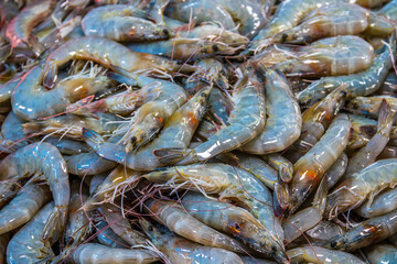 seafood from Naklua Thailand Asia
