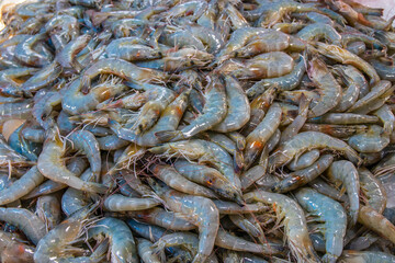 seafood from Naklua Thailand Asia
