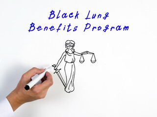 Black Lung Benefits Program inscription on the sheet.