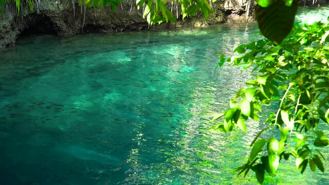 Fish in clear blue water. Hinatuan Enchanted River, Surigao del Sur, Philippines The Enchanted River in Hinatuan is believed to be enchanted. It is located in Mindanao, Philippines.
