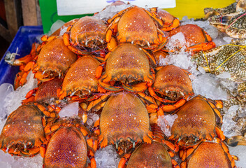 seafood from Naklua Thailand Asia