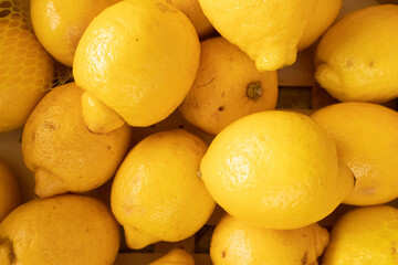 yellow limes
