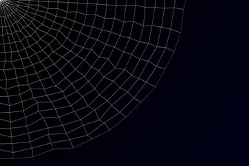 Abstract background - spider's web. 3D rendering.