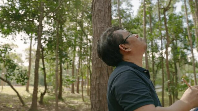orbit crane video shot of man researchers are walking into academic records within the forest
