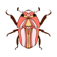 Abstract isolated vector lined illustration design of bug in red and pink colors