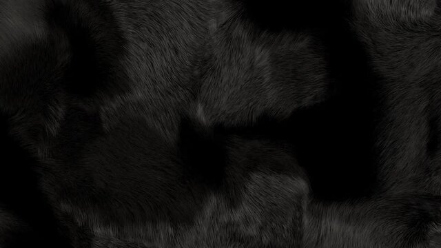 Black fur animation, close up, 3D generated, slow motion black shiny soft fur texture.