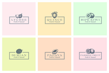 Exotic Fruits Abstract Vector Signs, Symbols or Logo Templates Collection. Hand Drawn Lychee, Passion Fruit, Quince, Durian, Papaya and Kiwi Sketches in Frames Set. Luxury Emblems Bundle. Isolated