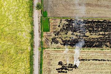 Burning agricultural land is a common but wrong task for reusing land to plant new crops