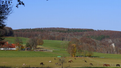 Blick auf den Fohlenhof in St. Johann des Haupt- und Landgestüts Marbach