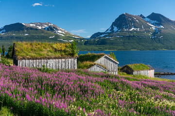 View from Kvaløya, Troms, Norway.