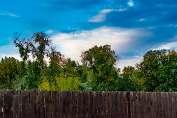 Fototapeta premium Cloudy evening sky over a residential area, over a wooden fence. Overcast gray clouds over a yellow sunset, through trees and blue dark saturated sky