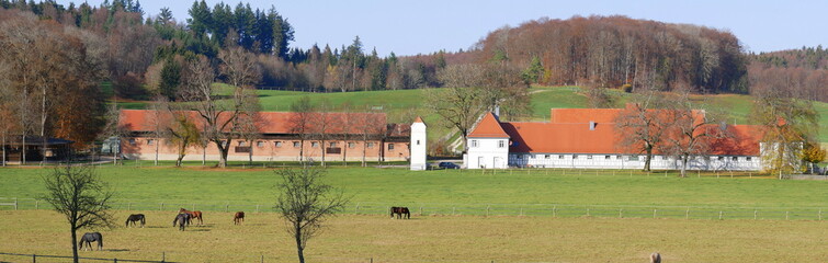 Panoramaaufnahme des Fohlenhofs in St. Johann des Haupt- und Landgestüts Marbach