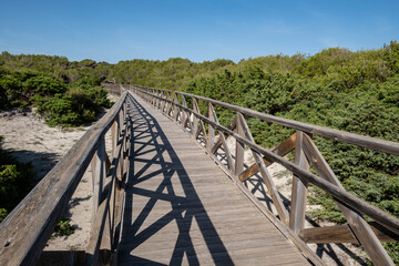 Fototapeta na wymiar Es Comu wooden walkway, Àrea Natural d'Especial Interès, included within the Natural Park of s'Albufera, Mallorca, Balearic Islands, Spain