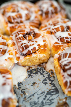 Sourdough cinnamon rolls glazed with icing on a tray