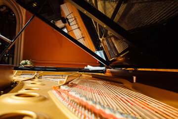 close-up of piano, grand piano plate with strings, the orchestra's inventory can be seen in the...