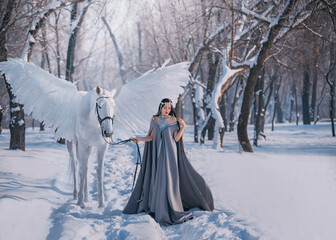 Fantasy woman elf goddess walk with mythical white horse Pegasus with white wings in winter forest. Long medieval in dress, grey cape. silver diadem tiara. Fairy tale Snow queen. Girl elf princess. © kharchenkoirina