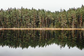 reflection of trees in lake with bright sky