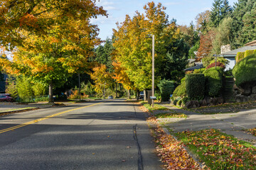 Fototapeta na wymiar Roadside Autumn Trees 3