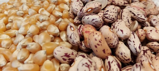 Popcorn grains and pockmarked beans close-up.