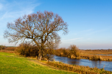 Jesień w Biebrzańskim Parku Narodowym, Podlasie, Polska © podlaski49