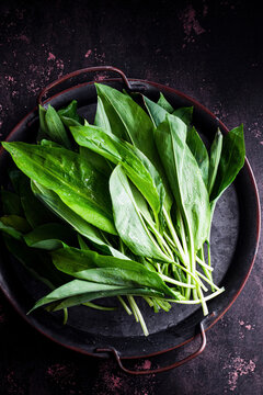 Wild garlic