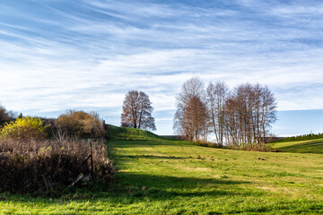 Jesień w Biebrzańskim Parku Narodowym, Podlasie, Polska © podlaski49