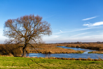 Jesień w Biebrzańskim Parku Narodowym, Podlasie, Polska © podlaski49